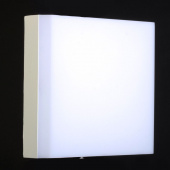 На фотографії Світильник  SV-RD220F/24W 6000K з розділу LED колір корпусу Білий на  джерела світла