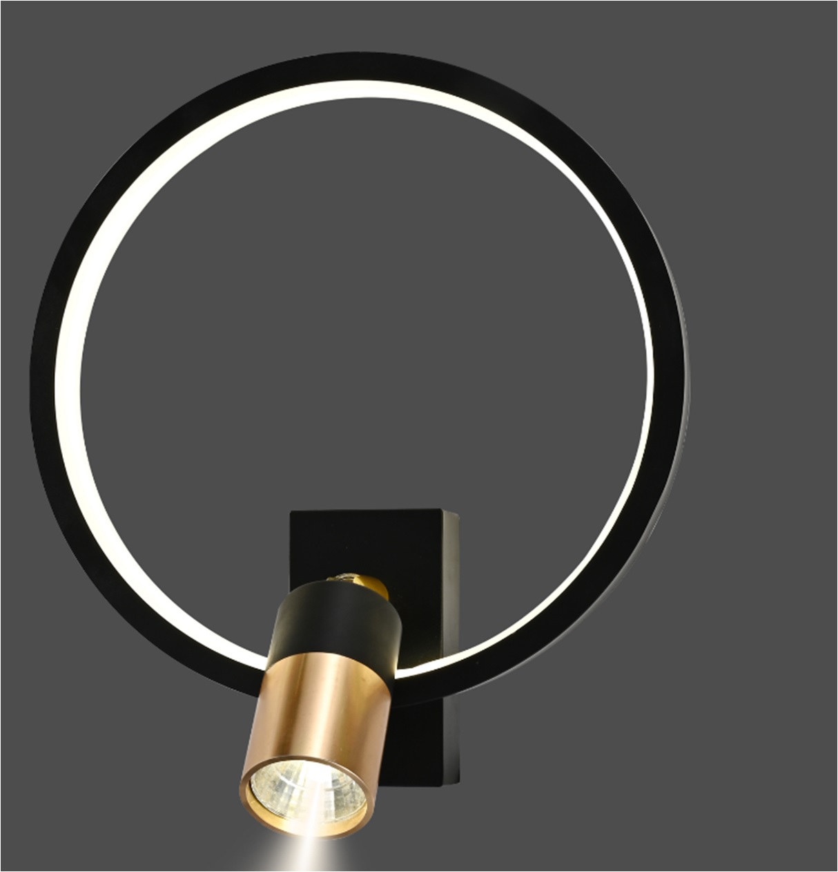 На фотографії Світильник світлодіодний SY-16076/1+1 BK+FGD з розділу Світлодіодні колір корпусу Чорний на 2 джерела світла