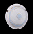 На фотографії Світильник SW-9010/2C CR/FG з розділу Стельові колір корпусу Білий на 2 джерела світла