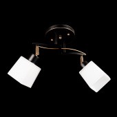 На фотографії Люстра Декоративна SH-1338/2 BKG FG з розділу Поворотні (Споти) колір корпусу Чорний на 2 джерела світла