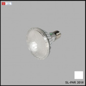 На фотографии Лампочка светодиодная SL-PAR 30 WT белая из раздела Светодиодные цвет корпуса  на  источника света