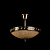 На фотографии Светильник  SW-030 из раздела Потолочные цвет корпуса Бронза на 2 источника света